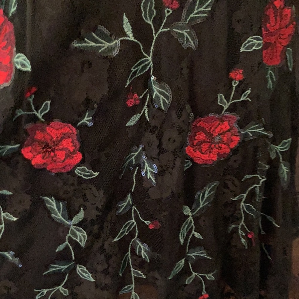 Express Embroidered Dress - Picture 3 of 6